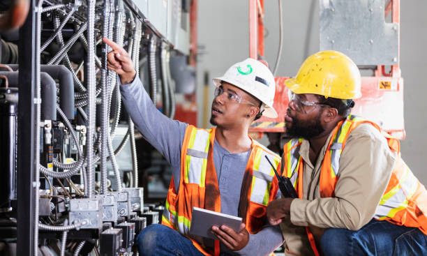 Best Electric Panel Repair  in Lamar, MO
